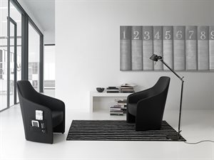 ADA_amb(4)
