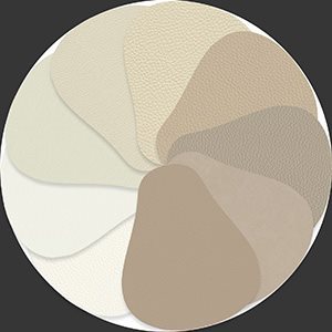 WHITE_BEIGE(0)